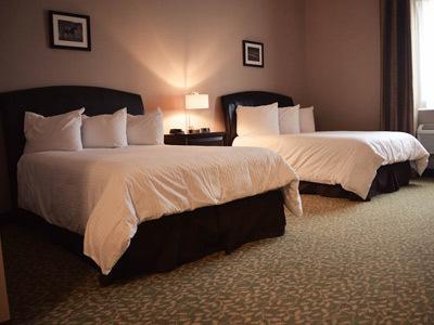 Belvedere Inn Schenectady - Albany Rum bild